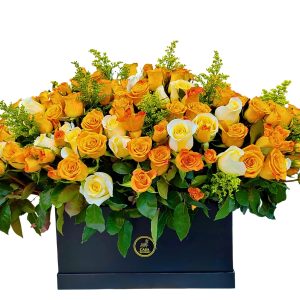 sunny-starlight-in-signature-box