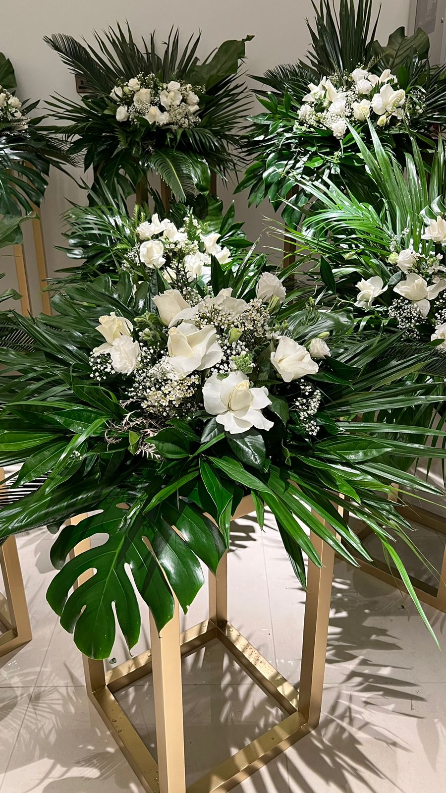 56bd1af6-2ac7-46aa-b161-ef8042da303b