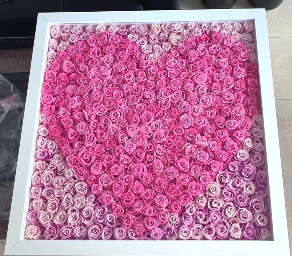 97d2004e-3063-441e-bd65-08bf04f2bb70